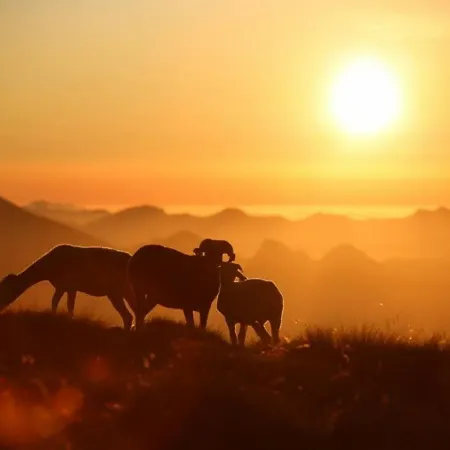 Duplex Cosy 4 Pers Au Centre De Cauterets, Proche Telecabine, Skis Et Commerces - Fr-1-401-27 Apartment Cauterets