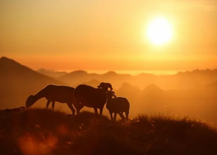 Duplex Cosy 4 Pers Au Centre De Cauterets, Proche Telecabine, Skis Et Commerces - Fr-1-401-27 Apartmán Cauterets